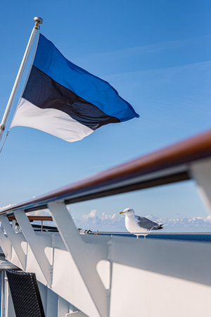 Estonian Flag flying on the wind of Baltic sea and Seagull waiting for food on the ship deck of the ferry going from Estonia to Finland. Blue sky on background. Vertical. Copy Space. Selective focus.の写真素材