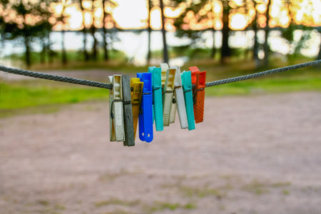Bright colored pins on clothes line in forest with copy space