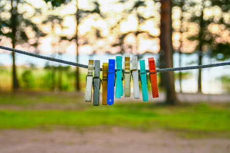 Bright colored pins on clothes line in forest with copy spaceの写真素材
