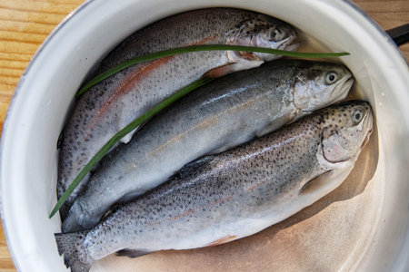 Three raw freshly caught rainbow trouts laid in a white enamelled bowl in the kitchen. Closeup of a...