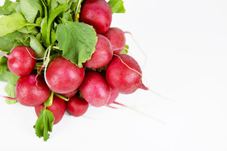 Close up of fresh red radishes bundle. Vibrant bunch of radishes isolated on the white background. Low calorie, crisp, vitamin-rich vegetables. Copy space.の写真素材