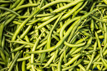 Closeup of a heap of fresh green beans in a local farmers market or grocery store. Pile of green yardlong beans for sell. Vegetable pattern.の写真素材