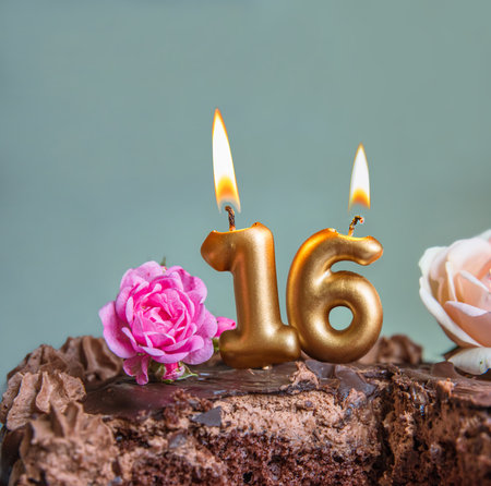Sweet sixteen chocolate birthday cake decorated with golden glowing lit 16 candles and pink roses. Handmade torte for celebration of a special milestone event. Card design. Selective focus. Copy spaceの写真素材