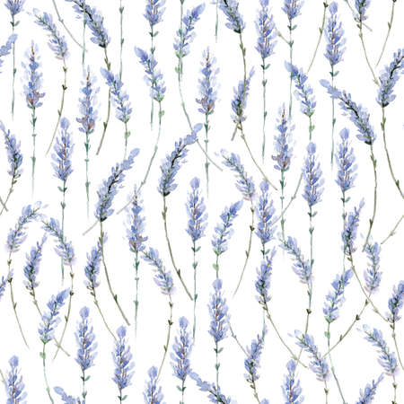 Watercolor realistic illustration. Floral seamless pattern. Provの写真素材