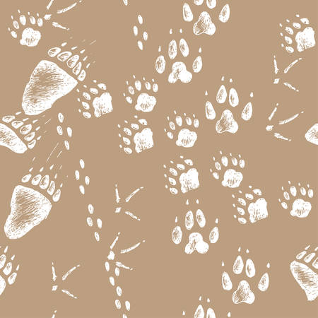 Vector hand drawn seamless pattern with walking wild wood animal and bird tracks. Sketchy styleのイラスト素材
