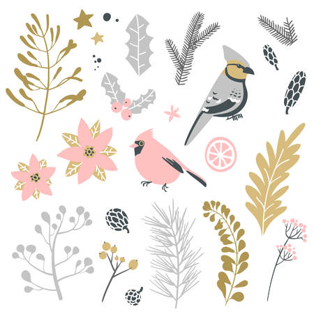 Collection of Christmas decorative elements - plants, branches, birds.のイラスト素材