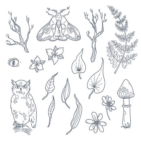 Black and white graphic collection of floral elements in modern style. leaves and branches, mushroom, owl and moth.のイラスト素材