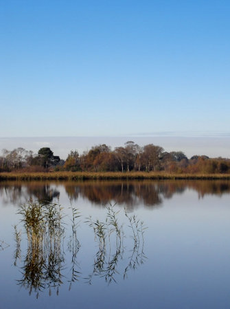 Reflections on an Irish lake in early morningの写真素材