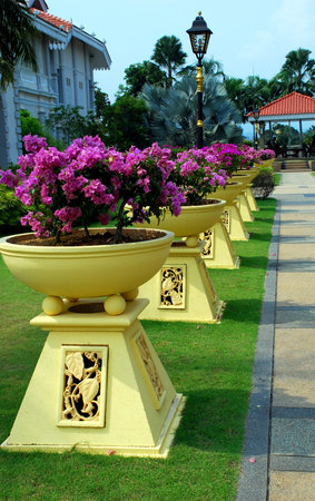 beautifu gardens image at pahang, malaysian #の写真素材