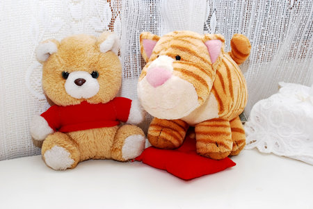 beautiful  toys image on the white backgroundの写真素材