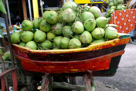 coconut frutsの写真素材