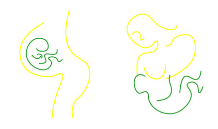 continuous single drawn one line maternity, pregnancy and breastfeedingのイラスト素材