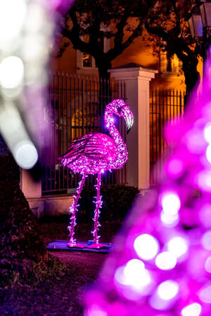 Christmas lights in Gaeta, fairy tales of light 2019, Gaeta, Lazio, Italy. Representation of violet flamingoの写真素材