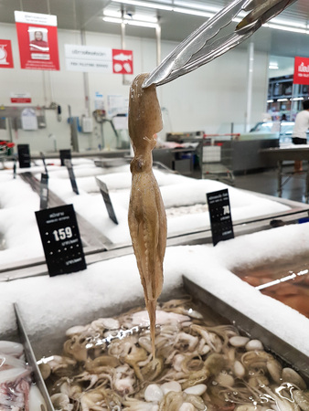 Fresh octopus clamping up from the tray by stainless steel food tongs clampの写真素材