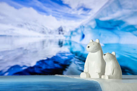 Polar bear facing the severe winterの写真素材