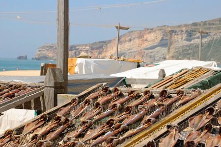 Fish drying outside on the beach, Nazare, Portugalの写真素材