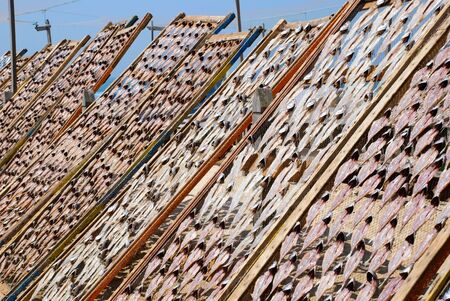 Fish drying outside on the beach, Nazare, Portugalの写真素材
