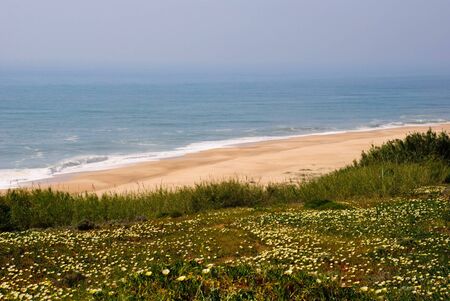 Ocean in spring with flowers blossoming, Nazare, Portugalの写真素材