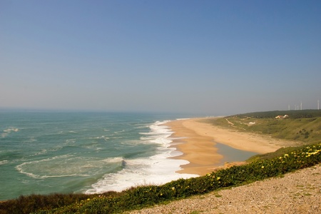 Ocean in spring with flowers blossoming, Nazare, Portugalの写真素材