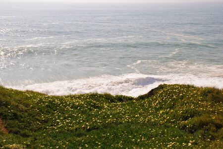 Ocean in spring with flowers blossoming, Nazare, Portugalの写真素材