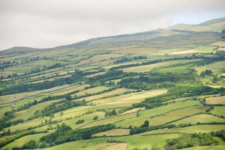 Rural Landscape of Faial island, Azores