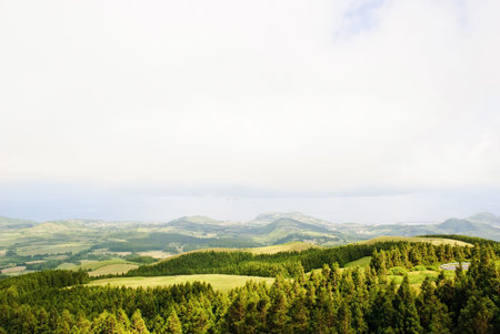 Rural Landscape of Faial island, Azoresの写真素材