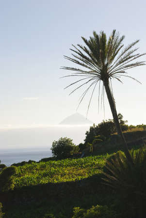 Pico mountain with tree silhouette, Azores, Portugalの写真素材