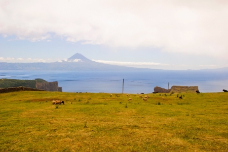 Pasture landscape of Sao Jorge island with Pico mountain behind, Azores, Portugalの写真素材