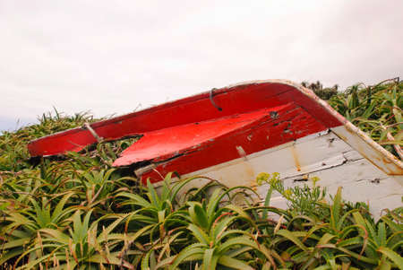 Abandoned boat in Faja, Sao Jorge island, Azoresの写真素材