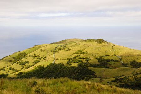 Landscape of green pasture and meadows at Sao Jorge island Azores, Portugalの写真素材