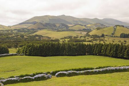 Landscape of green pasture and meadows at Sao Jorge island Azores, Portugalの写真素材