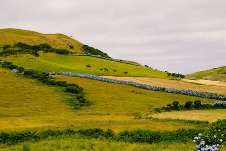 Landscape of green pasture and meadows at Sao Jorge island Azores, Portugalの写真素材