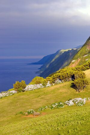 Afternoon view over cliffs of Sao Jorge island, Azoresの写真素材