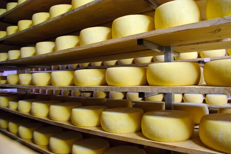 Cheese in storage, Sao Jorge, Azoresの写真素材