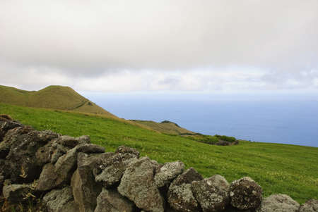 Green pastures with cows and Atlantic behind, Pico island, Azoresの写真素材