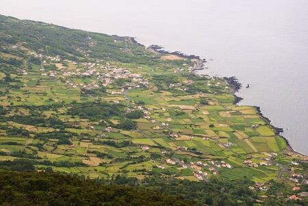 Agricultural fields at the coast of Pico island, Azoresの写真素材
