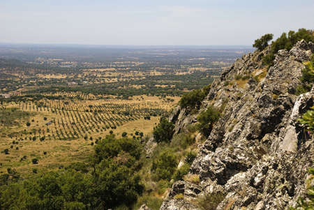 Dry landscpe with olive trees in Alentejo, Portugalの写真素材