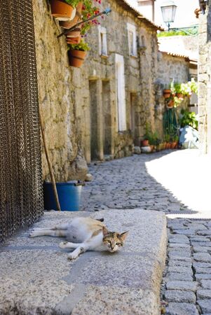 Old village made in giant stones, Monsanto, Portugalの写真素材
