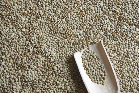 Raw green and brown lentil with wooden scooperの写真素材