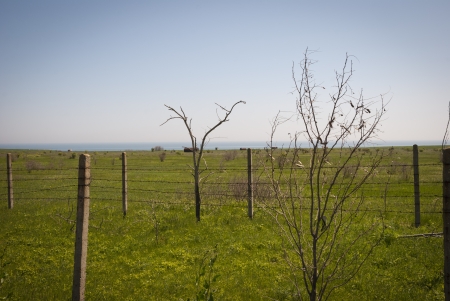 Abandoned oil cisterns on green meadowの写真素材