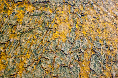 Surface of empty evaporation salt pond
