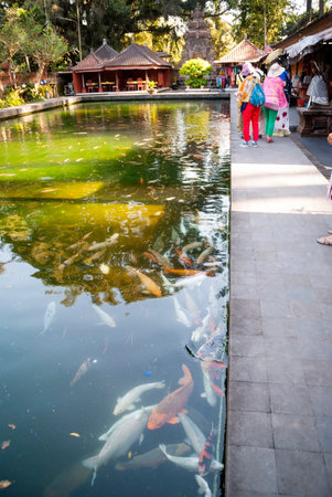 BALI, INDONESIA - SEPTEMBER 22: Water pond and visitors at Pura Tirta Empul temple, known by the sacred water purification. Bali, Indonesia, september 22, 2014のeditorial素材