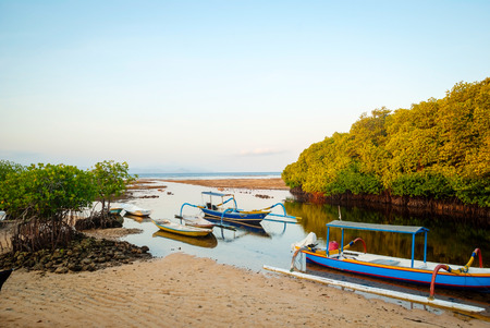 Mangrove forest in low tide with typical indonesian boats, Nusa Lembongan, Bali, Indonesiaの写真素材