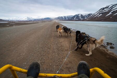 Dog sledding in summer in Svalbard, Arctic, first person perspectiveの写真素材