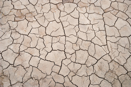 Dry cracked soil textureの写真素材