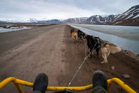 Dog sledding in summer in Svalbard, Arctic, first person perspectiveの写真素材