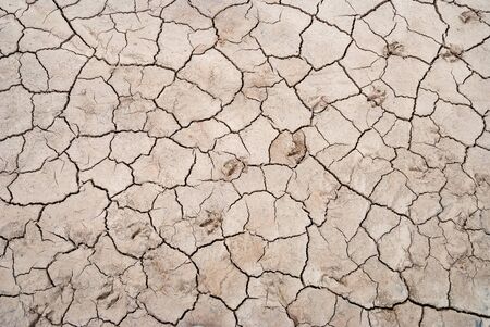 Dry cracked soil texture with animal footprintsの写真素材