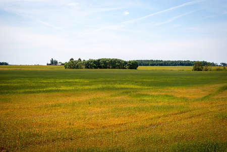 View on bright landscape with country houses in Lithuanian countryの写真素材