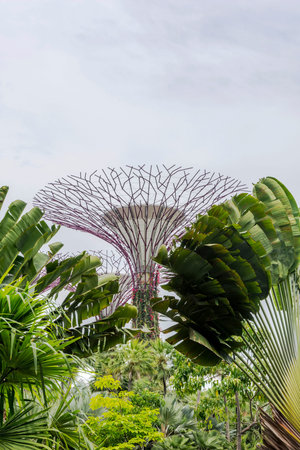 View on green abstract singapore tropical flowers in Gardens by the bay against of cloudy sky