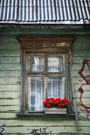 Close-up of building exterior with window decorated with red flowers, Riga, Latviaの写真素材